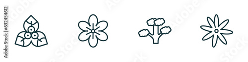 set of 4 linear icons from nature concept. outline icons included bougainvillea, geranium, slippery elm tree, sisyrinchium vector