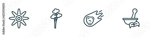set of 4 linear icons from nature concept. outline icons included petals, quaking aspen tree, asteroids, therapy vector
