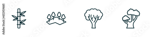 set of 4 linear icons from nature concept. outline icons included bamboo plant from japan, mountains with trees, paper birch tree, chestnut oak tree vector