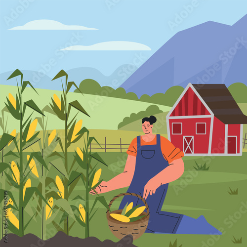 Farmer at work, agricultural worker harvesting crops. A female farmer collects corn harvest . Life in farm, beautiful landscape. Flat vector illustration.