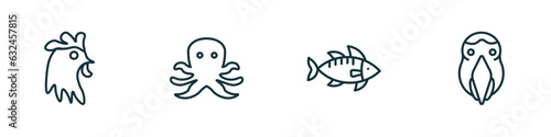 set of 4 linear icons from animals concept. outline icons included cock, octopus, zander, aw vector photo