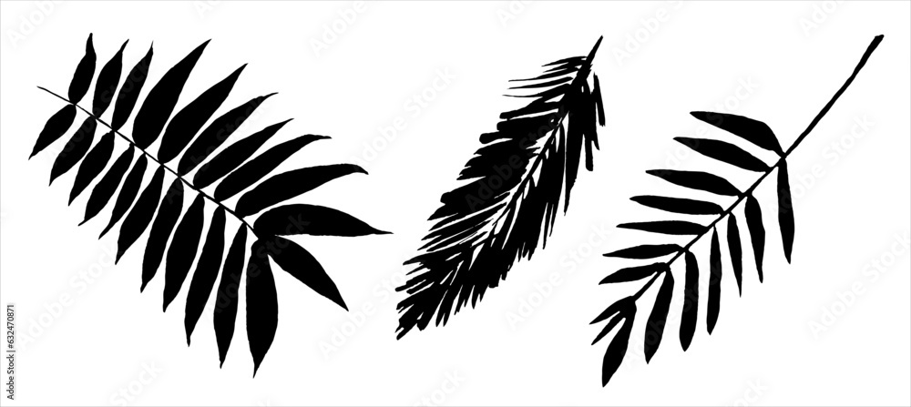 Obraz premium Palm leaves, silhouettes. Hand drawn. Vector illustration.