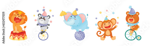 Circus Animal Characters Performing Trick Vector Set