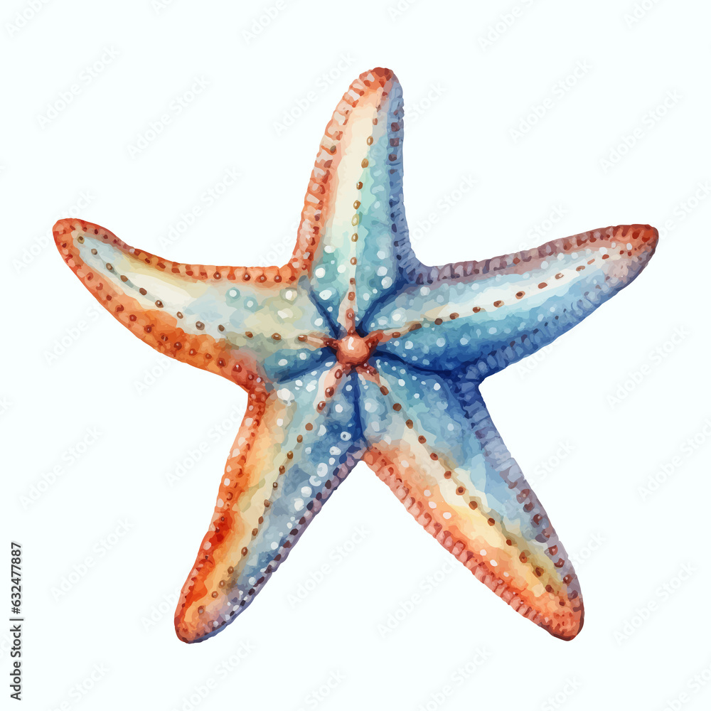 Blue and orange Starfish isolated white background hand drawn watercolor Blue and orange Starfish isolated white background hand drawn watercolor