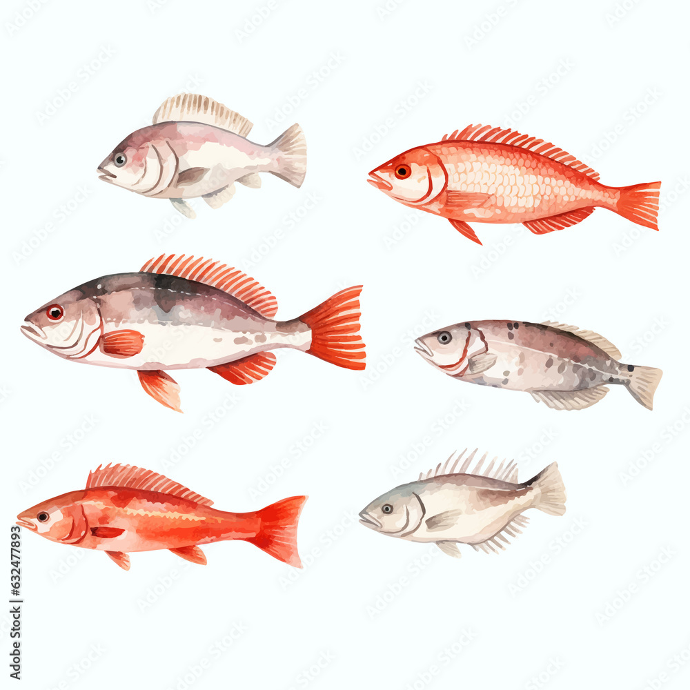 Set of hand-drawn watercolor fish Menu ingredient