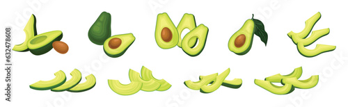 Avocado or Alligator Pear as Large Edible Berry with Seed Vector Set