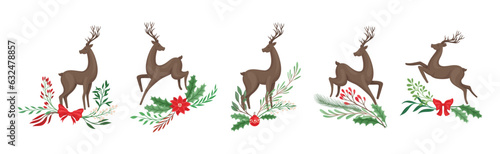 Young Brown Deer with Antlers and Winter Twigs Vector Set