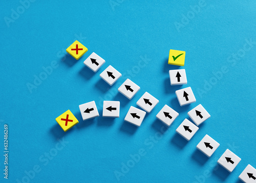 Choosing the right path or making the right decision that leads to success. Choosing the correct way among alternative options.