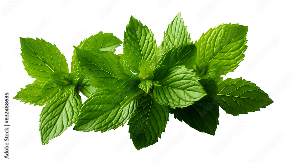 Fresh and Vibrant Mint Leaves Isolated on a White Background - Creations with High-Quality Mint Leaves Fresh and Vibrant Mint Leaves Isolated on a White Background - Creations with High-Quality Mint Leaves