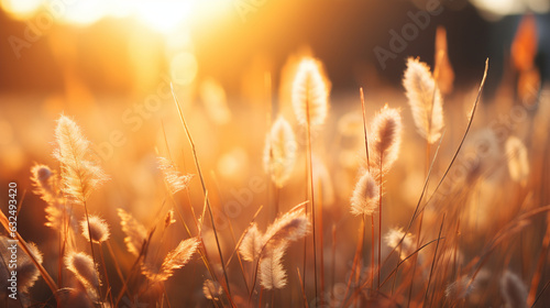 A close-up shot showcasing untamed grass flourishing in a sun-drenched forest clearing during the mesmerizing sunset hours. The shallow depth of field lends an artistic perspective 