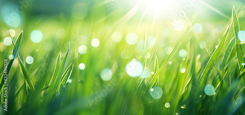Background with bright green grass in the sun with highlights