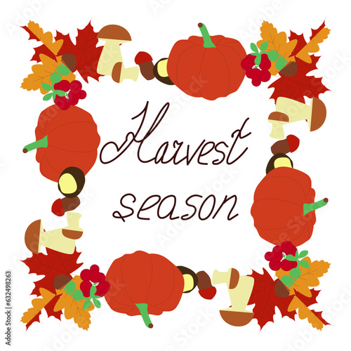 Autumn lettering with frame of autumn symbols - Harvest season - vector. Autumn colors. Hand-drawn lettering. Autumn symbols - colorful leaves, pumpkin, rowan branch, acorns, mushrooms, chestnut. photo