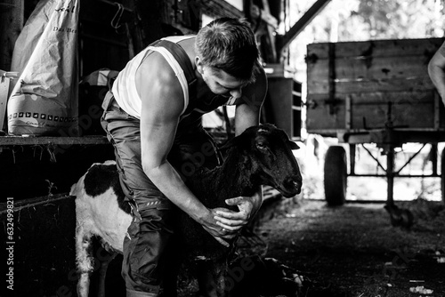 Sheepshearer Tales photo