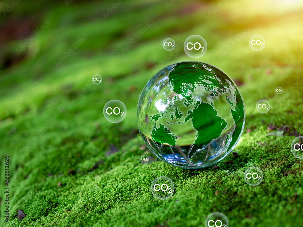 Crystal ball on moss in green forest. CO2 emission reduction concept, clean and friendly