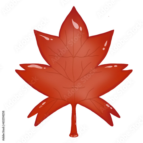 maple leaf photo