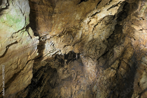 日本有数の鍾乳洞である秋芳洞の鍾乳石