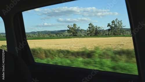 Driving through countryside on summer afternoon, view through car's side window