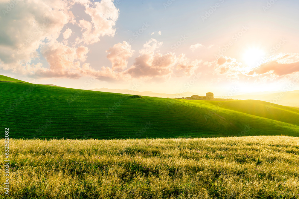 Fototapeta premium green field in countryside at sunset in the evening light. beautiful spring landscape in the mountains. grassy field and hills. rural scenery