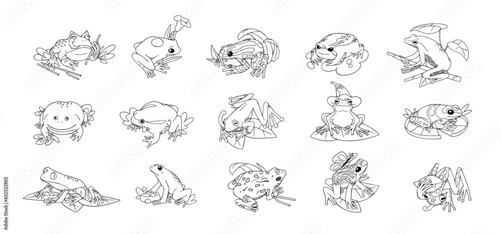 Naklejka premium Frogs set. Different species of amphibian, reptile: ceratophrys, tree, tomato and spotted treefrog. Cute, funny tropical, rainforest toad sit with tongue. Lineart isolated vector illustration on white