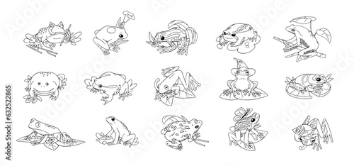 Frogs set. Different species of amphibian, reptile: ceratophrys, tree, tomato and spotted treefrog. Cute, funny tropical, rainforest toad sit with tongue. Lineart isolated vector illustration on white © Paper Trident