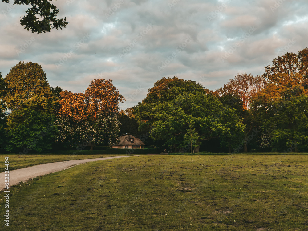 nature, landscape, park, outdoor, trees, golden hour, cloudy, farm ...