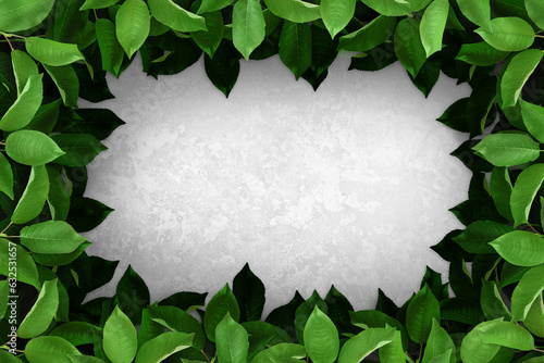 Composition of green leaves around gray concrete background. Tree branches with leaves and shadow. Advertising nature board, organic poster, ecology mockup. Top view, flat lay, close up, copy space