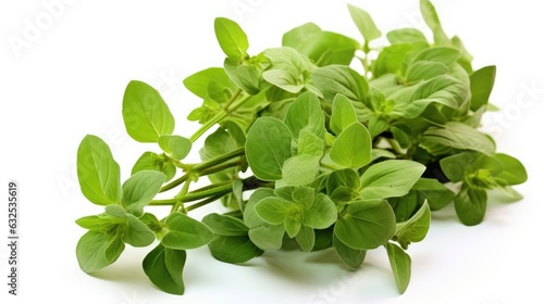 Oregano. Italian and French herbs. Seasoning for cooking. Green leaves on a white background