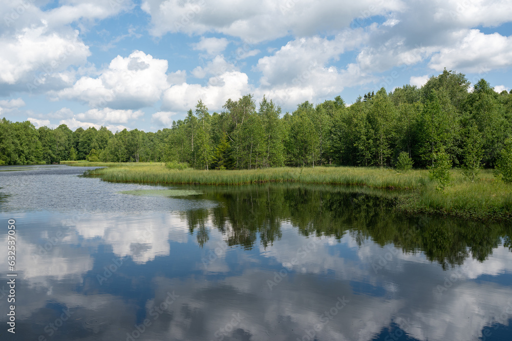 Lake in green nature with blue sky and white clouds