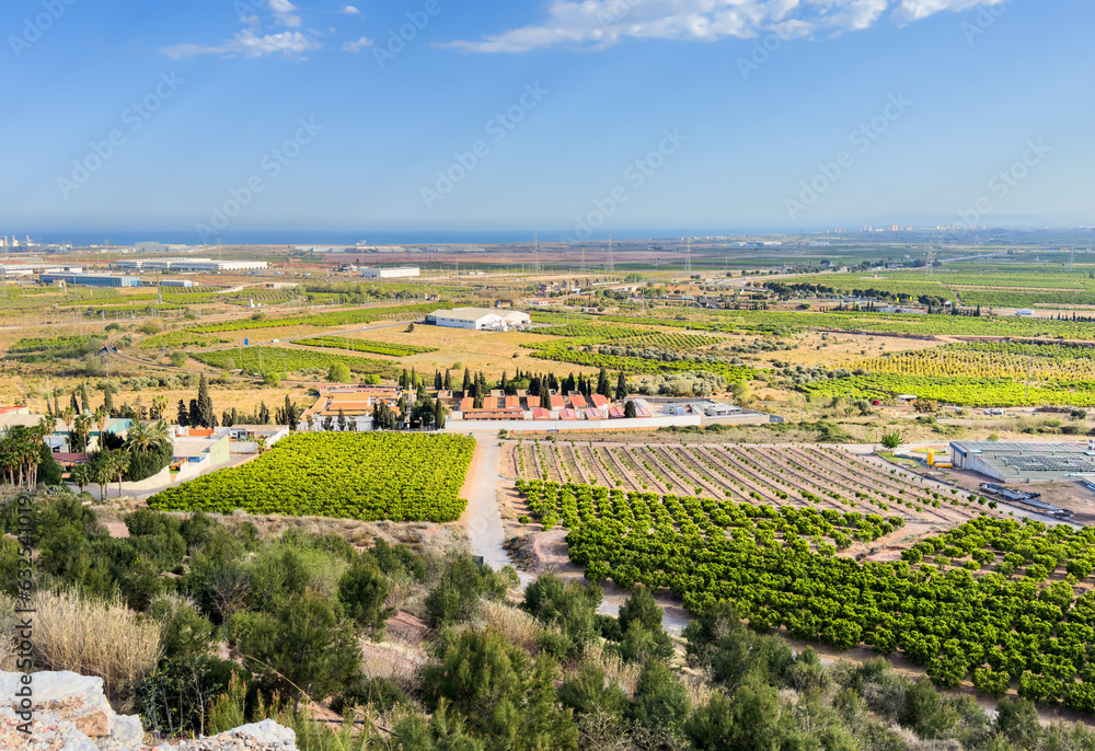 Rural landscape, aerial view. Farm field in Spain. Olive trees plantage farm land. Rural area in Spanish Mediterranean. Farmhouse in mandarin Fields. Agricultural country with orange mandarin field.