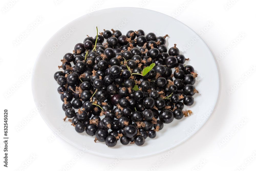 Freshly harvested blackcurrant on dish on a white background Freshly harvested blackcurrant on dish on a white background
