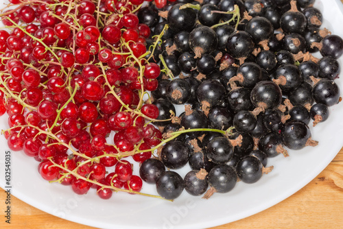Freshly harvested redcurrant and blackcurrant on dish close-up