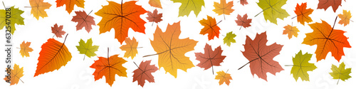 Autumn drawing banner. Dead leaves falling. Vector illustration for header