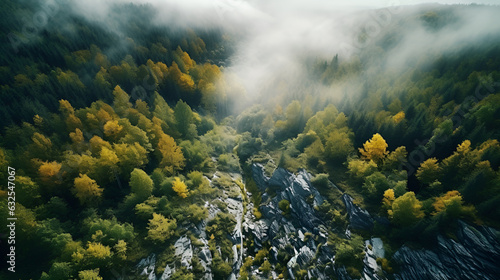 Forest in Bird eye's view, wonderful landscape, v63 created with generative AI technology