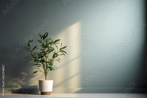 Minimalist Wall with a Plant Captured Photograph. Generative AI