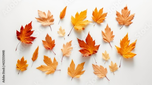 Autumn orange and red leaves in a circle, on white background