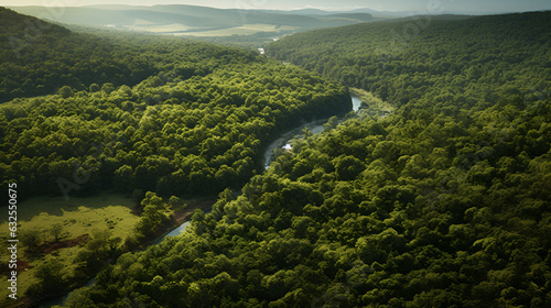 Forest in Bird eye's view, wonderful landscape, v9, created with generative AI technology