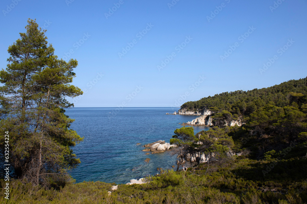 Panorama of a beautiful forest and turquoise wather and blue sky. Holiday summer beach background.