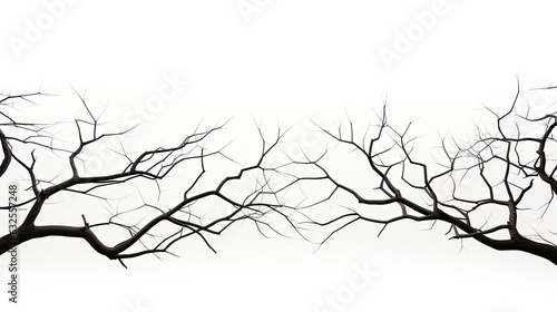 White background with isolated tree branches