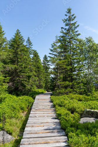 Mountain path in the Karkonosze mountains near Karpacz in Poland