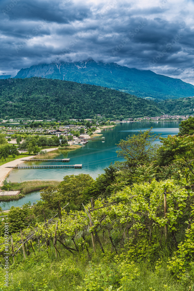 Vinyards around Lake Caldonazzo, Trentino in Italy