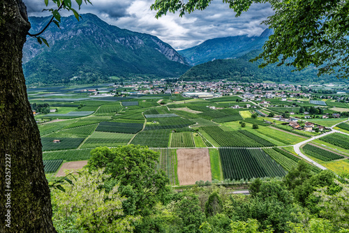 Fields with fruit and wine around Lake Caldonazzo in Italy photo