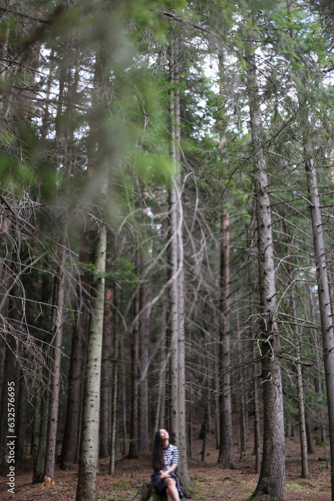 Obraz premium In the mountains, Carpathian mountains travel, beautiful nature background, traveling to Ukraine