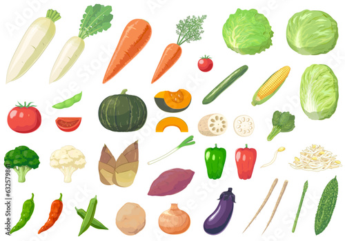 Fototapete 野菜のセットイラスト