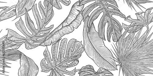 Pencil drawing of a tropical palm, banana leaves on a white background. Isolated sketch. White background with hand painted leaves. Texture background for creativity and advertising.