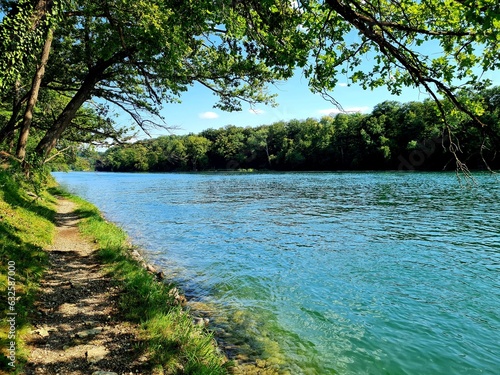 lake and forest