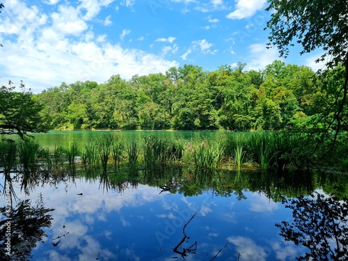 Obraz na płótnie Landschaft am Hochrhein w salonie