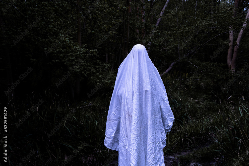 a spooky ghost, covered in a white sheet. Standing in a scary dark haunted forest.