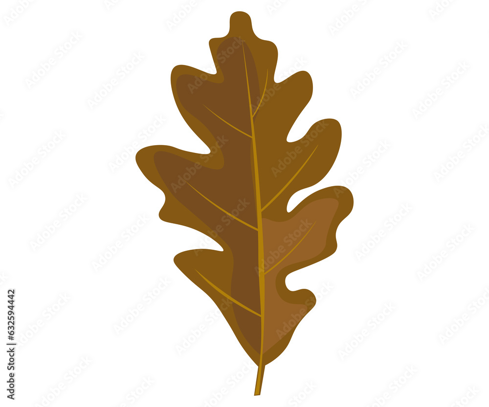 Fototapeta premium leaf