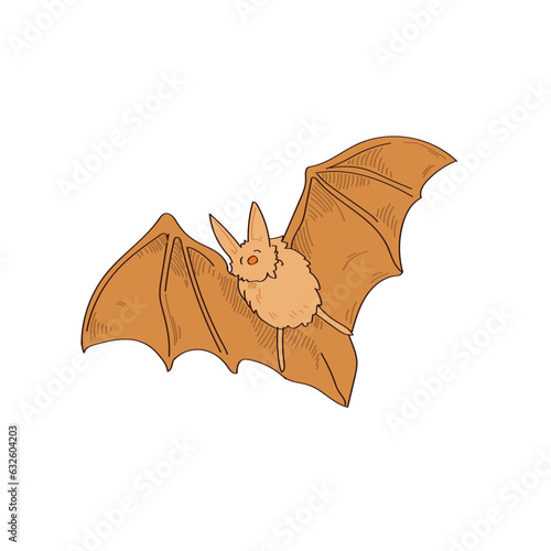 Cute bat. Vector cartoon design on a white background.