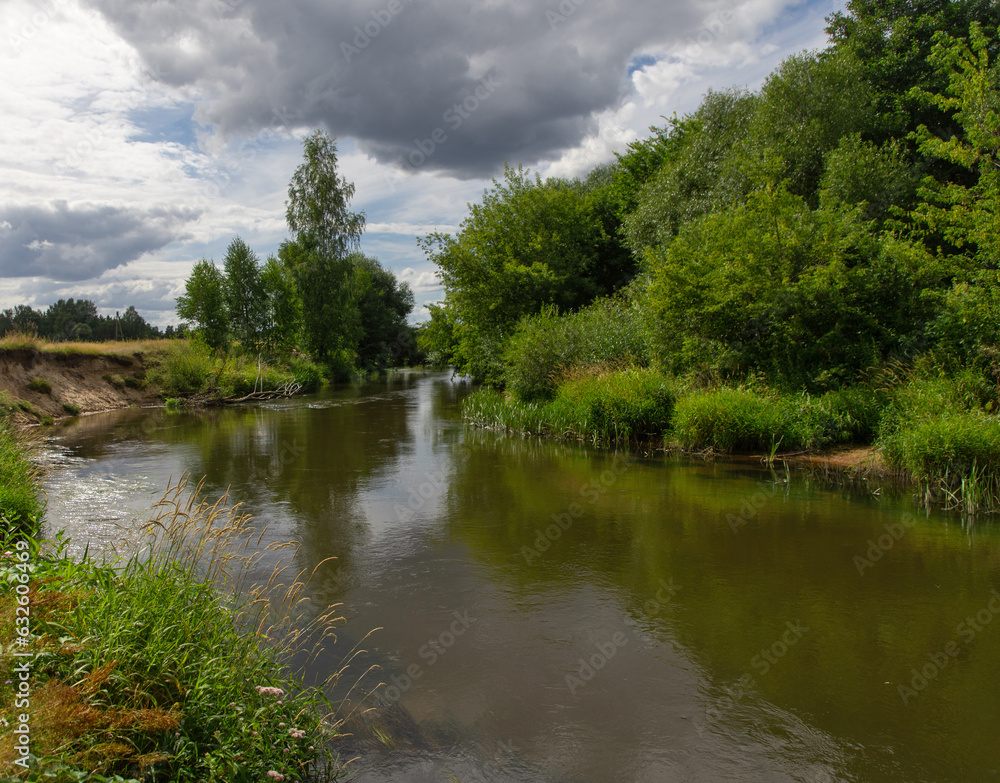 Summer landscape with the river